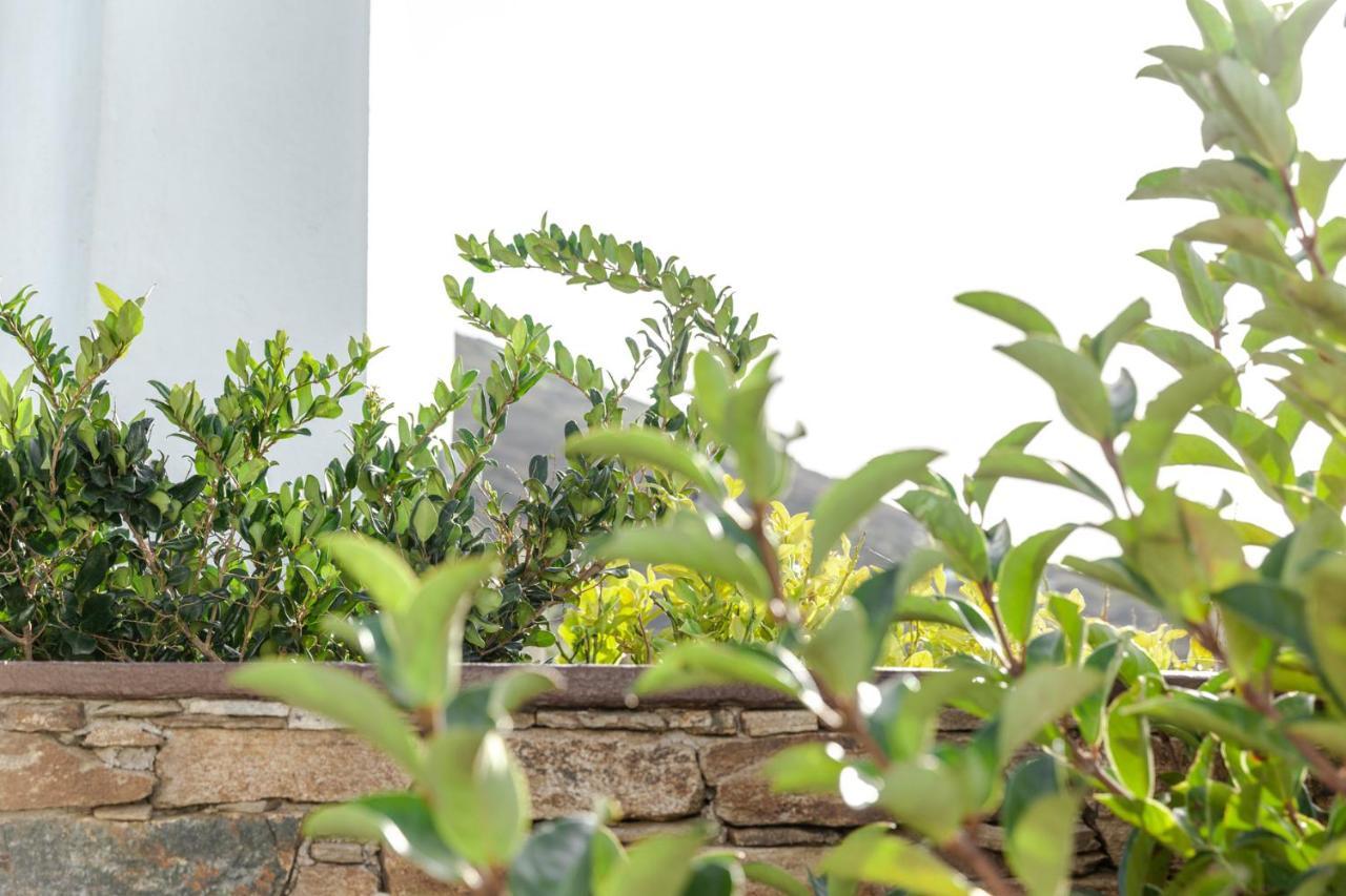 White Tinos Luxury Holiday home