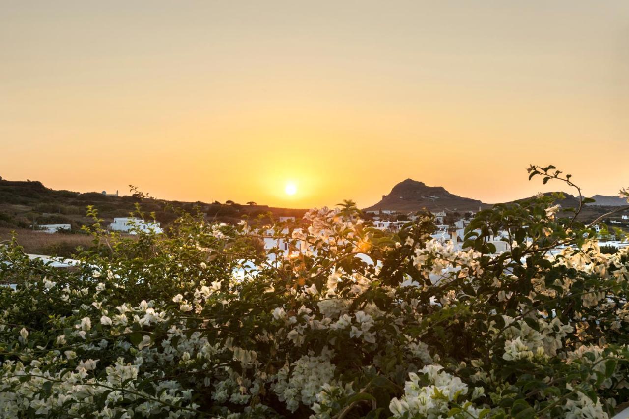White Tinos Luxury Сasa de vacaciones Stení